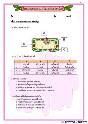 ข้อสอบเก็บคะแนน เรื่อง เซลล์