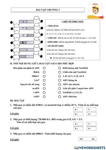 Ôn tập về gen