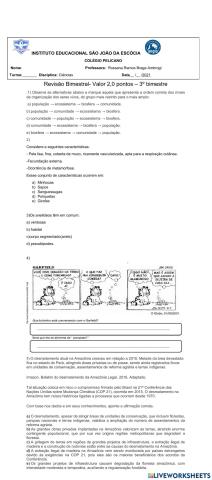 Revisão de ciências 7º Ano - 3º bimestre