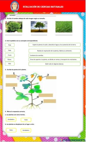 Evaluación ciencias naturales