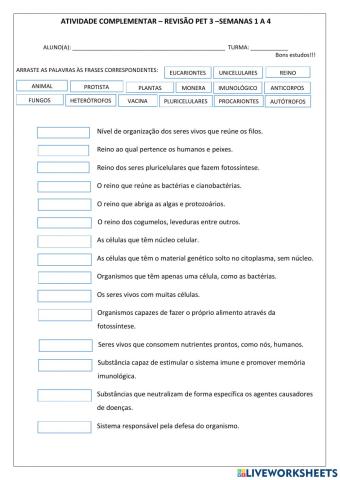 Revisão pet3