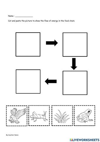 Food Chain