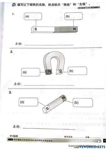 一年级科学 磁铁的磁极