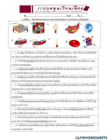 ม.2-6 ว 1.2