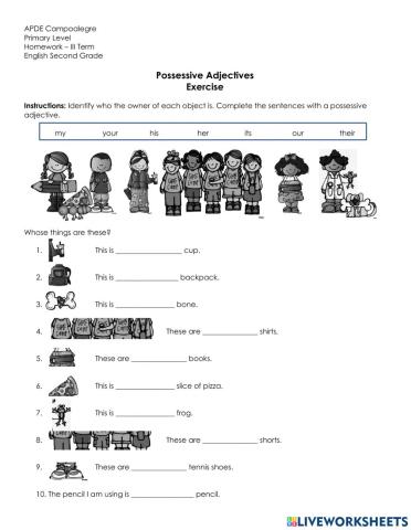 Possessive adjectives worksheet