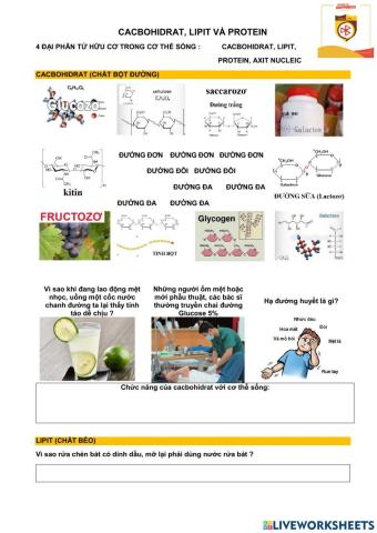 Bài 4. cacbohidrat.lipit.protein