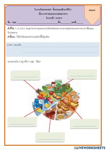 อาหารหลัก 5 หมู่