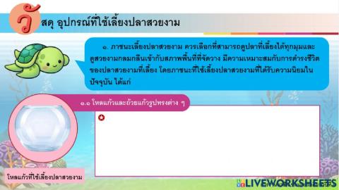 การงานอาชีพ ป.6 ครั้งที่ 6