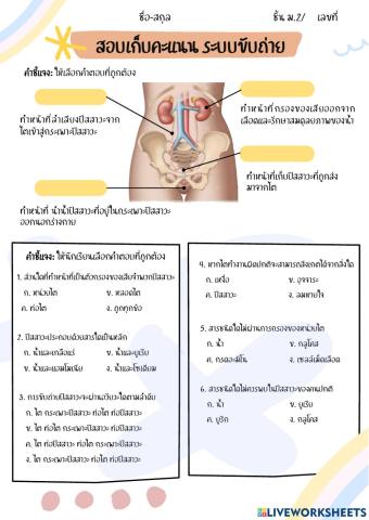 ระบบขับถ่าย