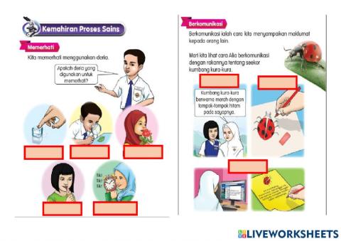 Kemahiran proses sains