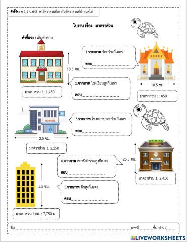 อัตราส่วน 6-1 6-2