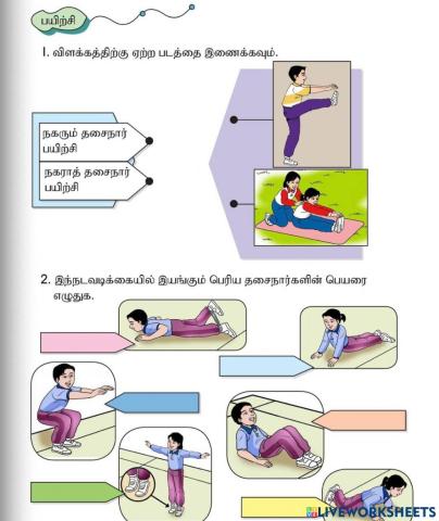 Pilih perkataan yang betul berdasarkan gambar