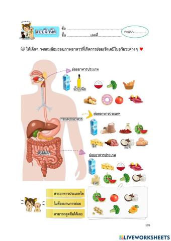 ทดสอบใบงานวิทย์ ๑๒