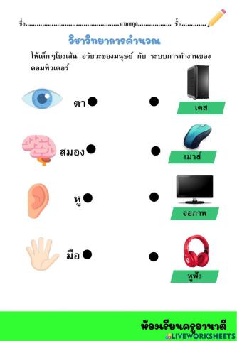 ลากเส้นความสัมพันธ์ของอุปกรณ์คอมพิวเตอร์