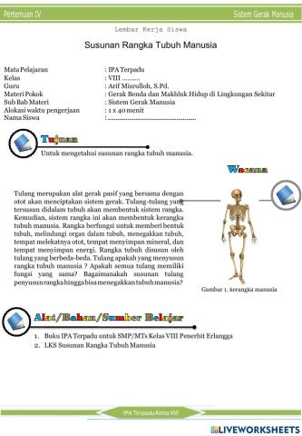 Sistem Rangka Manusia