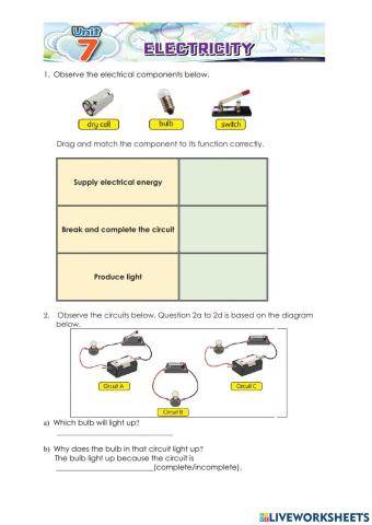 Electricity Year 2