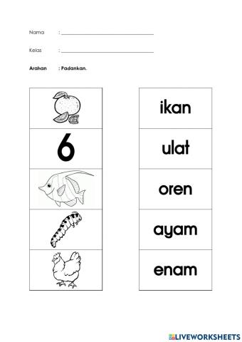 Perkataan v+kvk