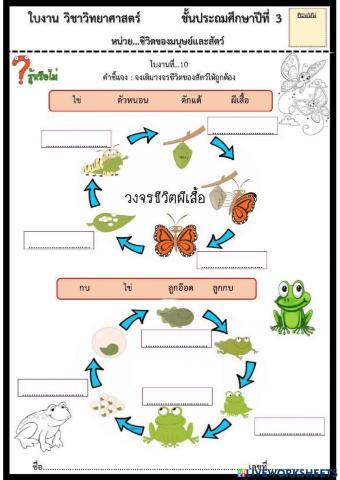 ชีวิตสัตว์