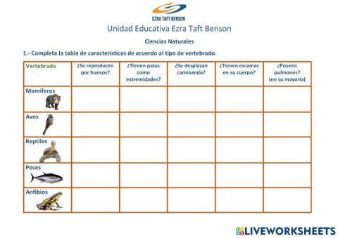 Características de los vertebrados