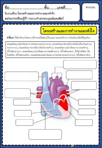 หัวใจ