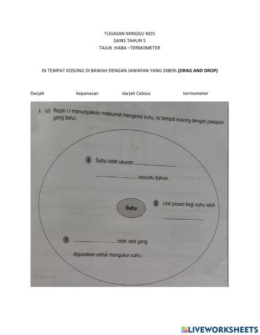 Lembaran kerja sains