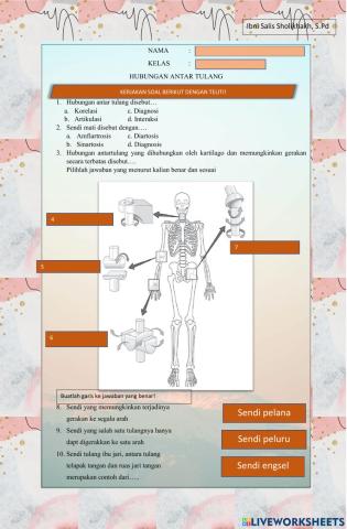 Hubungan antar tulang