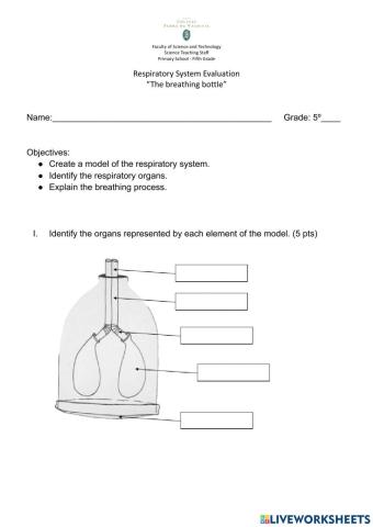 The breathing bottle