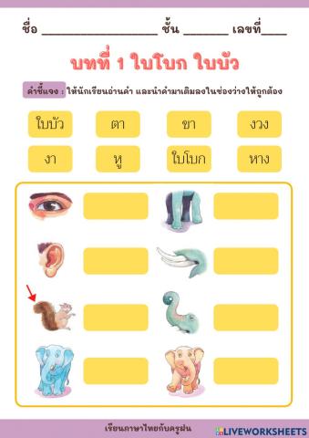 แบบทดสอบท้ายบทที่ 1 ใบโบกใบบัว