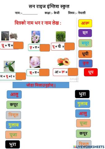 Nepali   worksheet