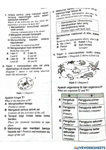 Latihan ulangkaji