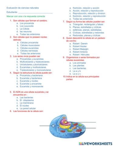 Evaluacion de ciencias naturales