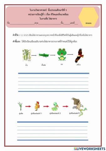 ใบงานที่ 6 ป.5.