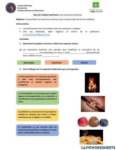 Guía trabajo autónomo: Reacciones Químicas.