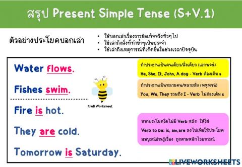 แบบฝึกหัด Present Simple Tense