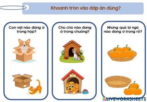 Chọn kết quả