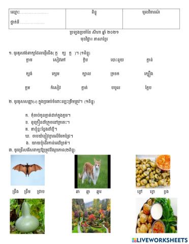 វិញ្ញាសាភាសាខ្មែរ