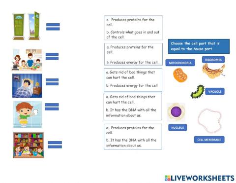 The cell, its parts and its functions