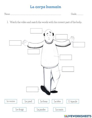 Le corps humain