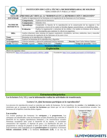 Hormonas en la reproducción y digestión