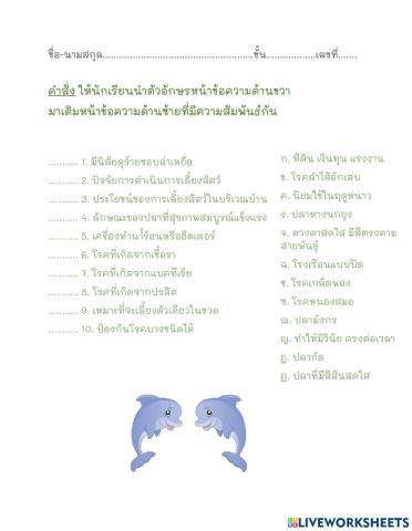 การเลี้ยงสัตว์