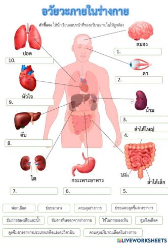 ร่างกายของเรา