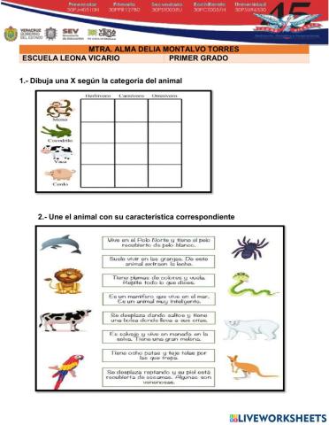 Clasificación de animales