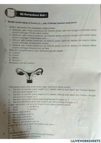 Penilaian Harian 1 sistem reproduksi