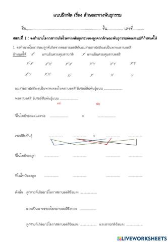 ลักษณะทางพันธุกรรม1