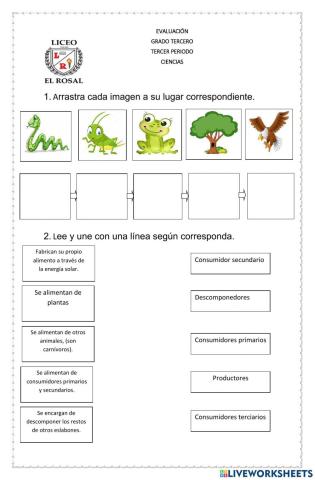 Evaluación de Ciencias Grado 3