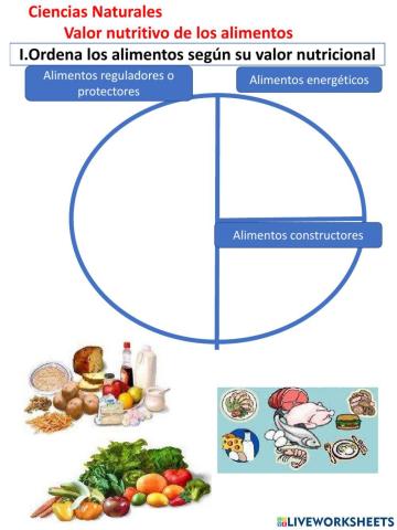 Valor  Nutricional de los alimentos