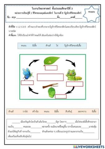 วัฏจักรของสิ่งมีชีวิต