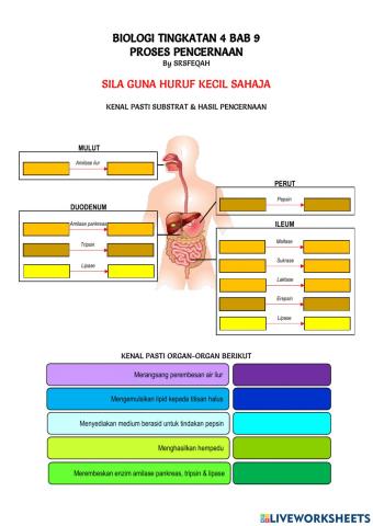 Biot4b9 proses pencernaan