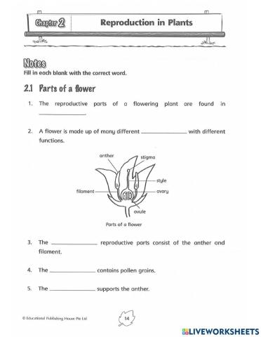 Reproduction in plants