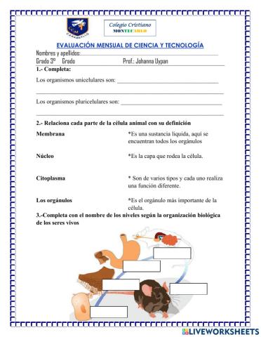 Evaluación mensual de ciencia y tecnologia